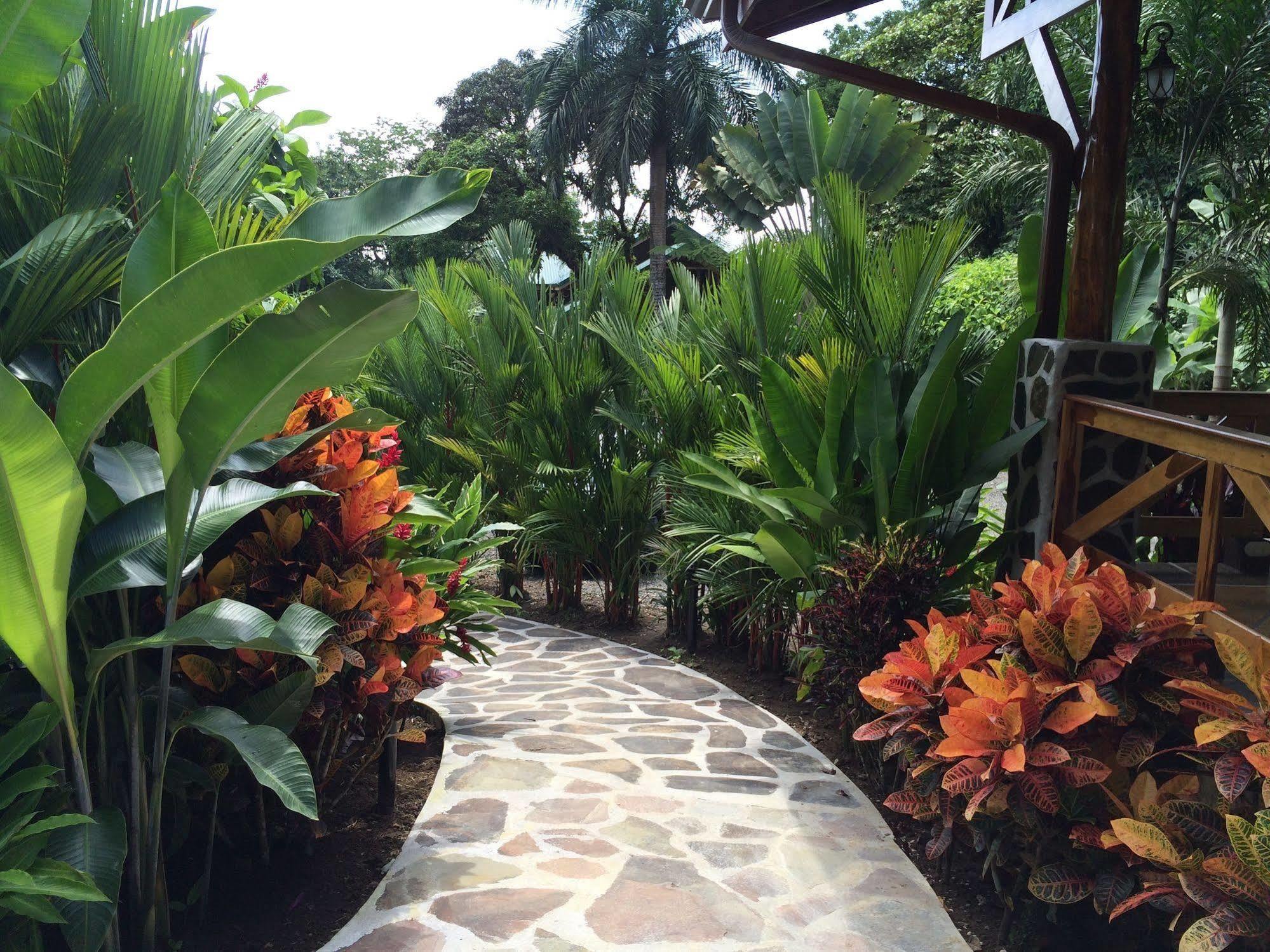 Mussaenda, Arenal La Fortuna Exterior foto