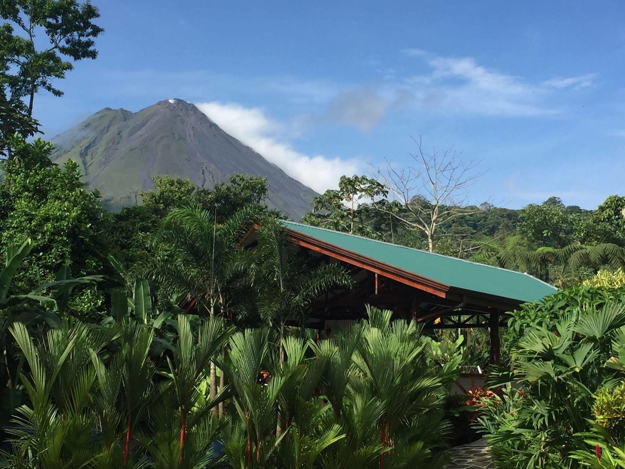 Mussaenda, Arenal La Fortuna Exterior foto