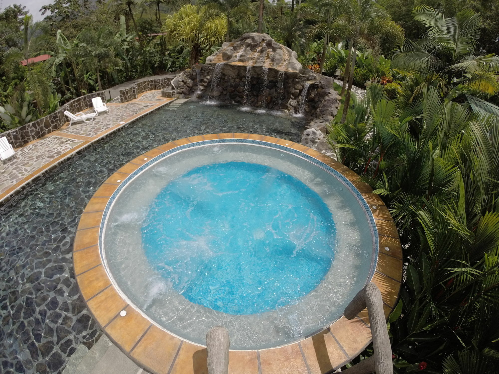 Mussaenda, Arenal La Fortuna Exterior foto