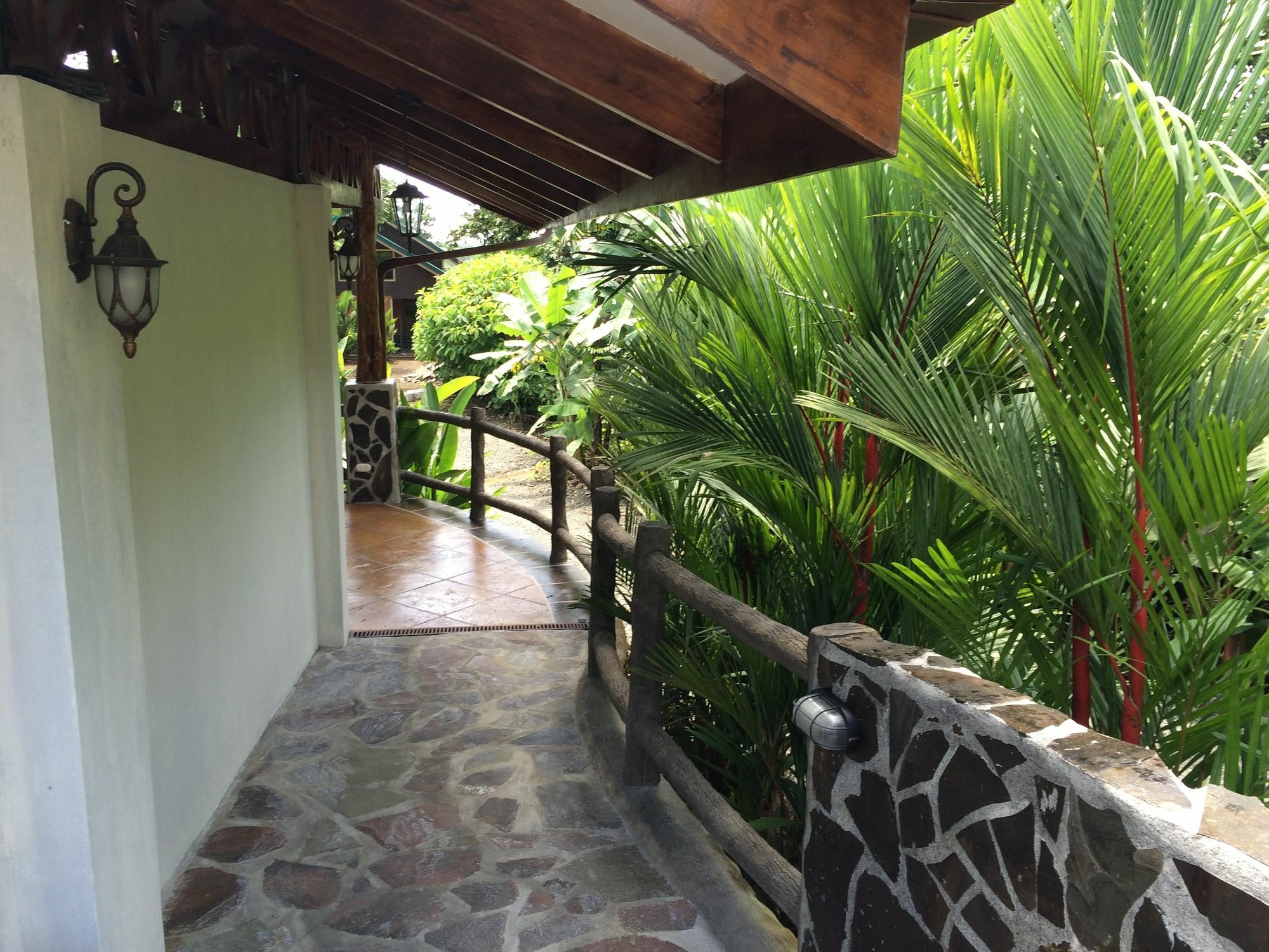 Mussaenda, Arenal La Fortuna Exterior foto